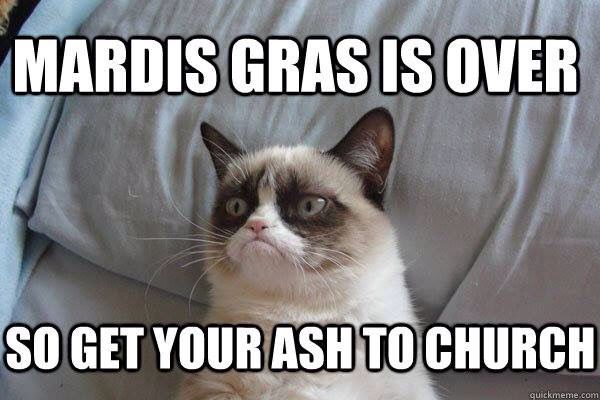 Click through for more! The three stages of Mardi Gras, as told by funny cat memes -- hilarious and cute lolcatz! via Devastate Boredom