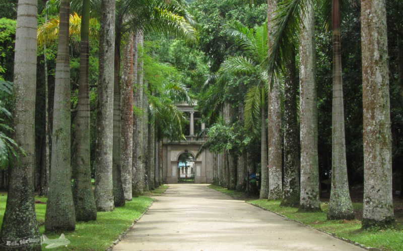 Rio de Janeiro - Jardim Botânico - E aí, férias!