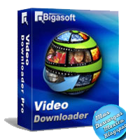 bigasoft video downloader pro license name bigasoft video downloader pro license name