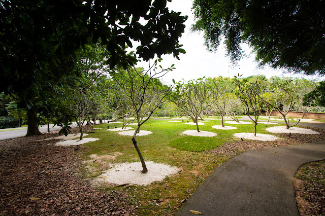 Botanic gardens-Singapore