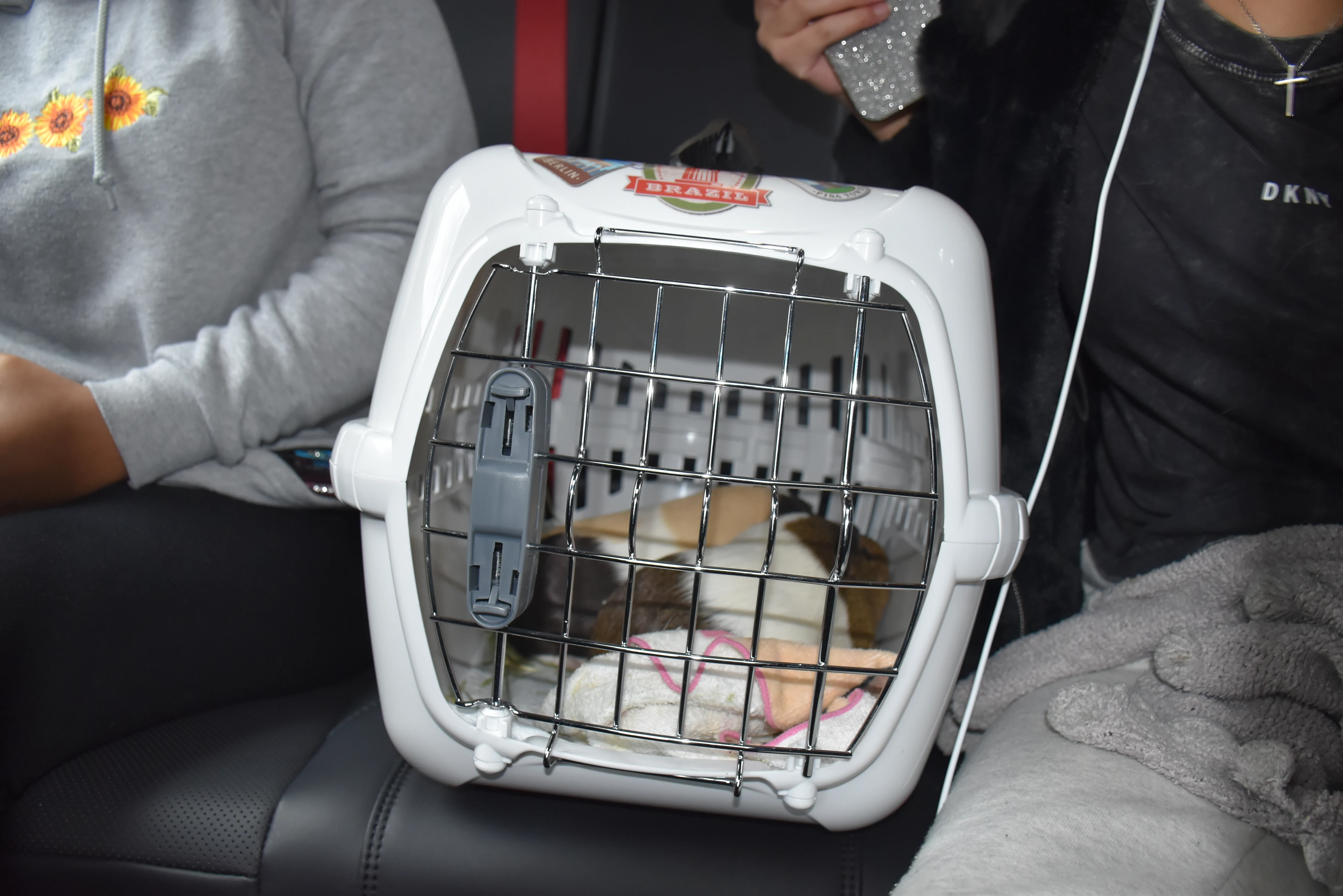 Traveling with Guinea Pigs in the 2021 Toyota Avalon TRD