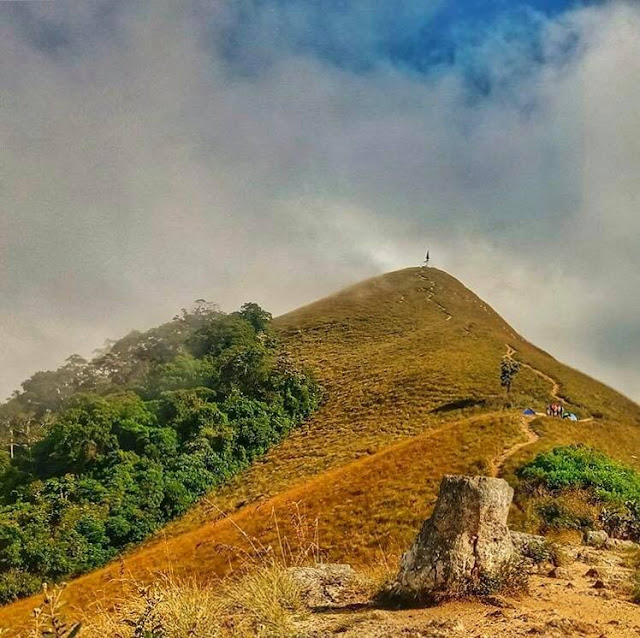 නාරංගෙඩියේ හැඩයෙන් යුතු - නාරංගල 🍊⛰(Narangala🍊) - Your Choice Way