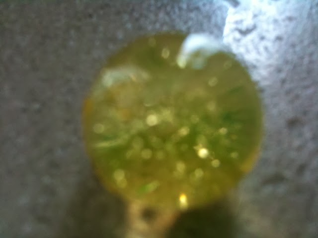 Chenxi's awesome world: A Science Orbeez Experiment