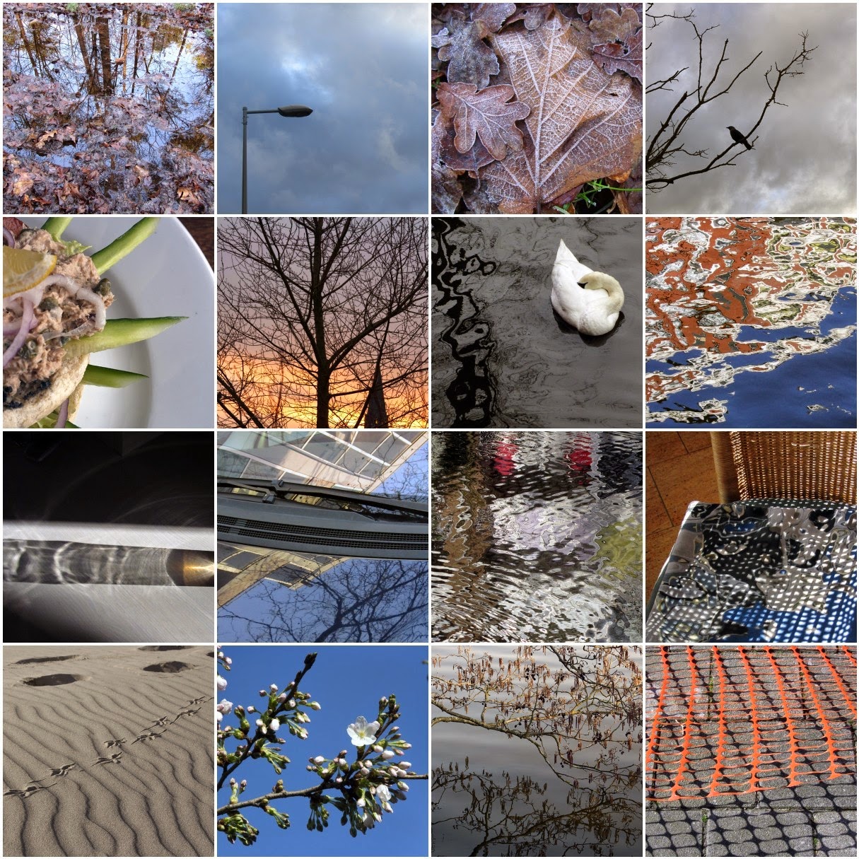 mosaic: Winter 2014
