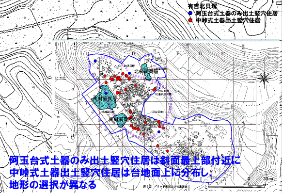 花見川流域を歩く HANAMIGAWA RYUIKI wo ARUKU: 1月 2021