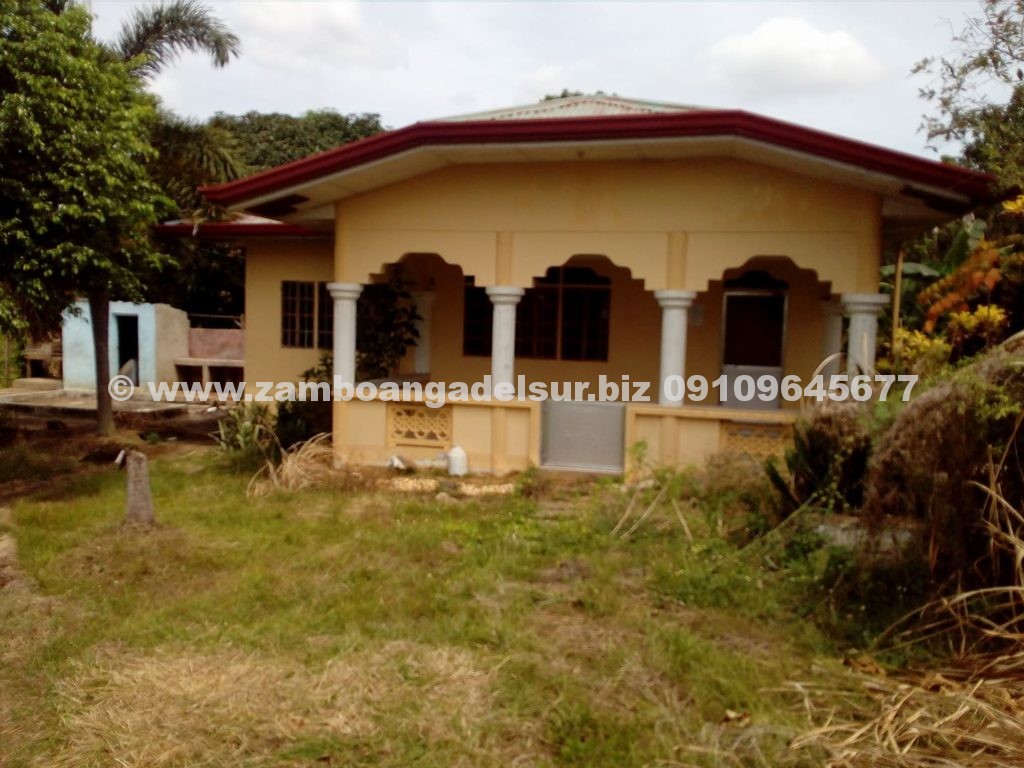 Zamboanga del Sur Properties FOR SALE HOUSE AND LOT AT PAGADIAN CITY