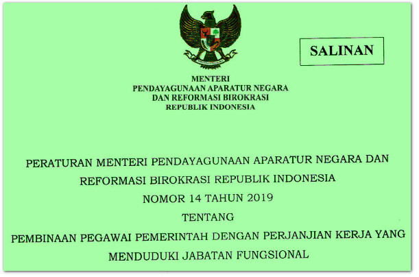 Permenpan Rb No 14 Tahun 2019 Pembinaan Pppk Jabatan Fungsional