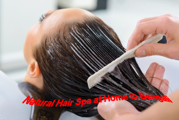 Natural Hair Spa at Home in Bengali | চুল ভালো রাখতে নেচারেল হেয়ার স্পা