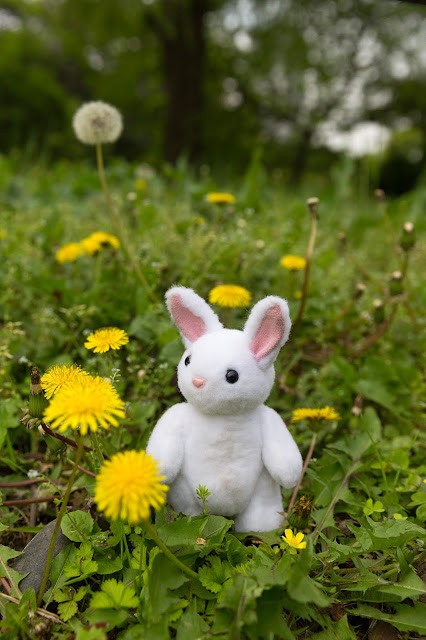 Passing Through the Yellow Flowers