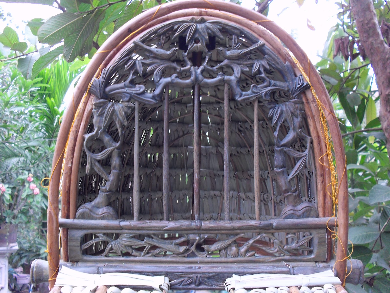 SDC13543.JPG