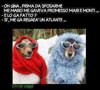 cosa pensate???'