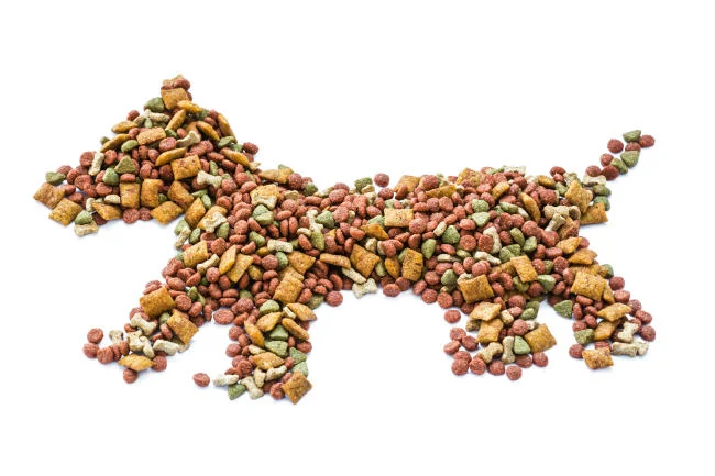 Stunning Best Natural Dry Dog Foods Image Concept