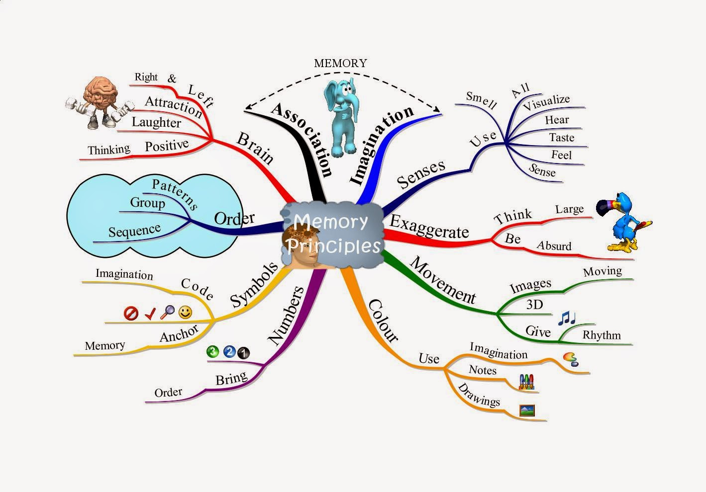 How Does the Brain Store Memories?