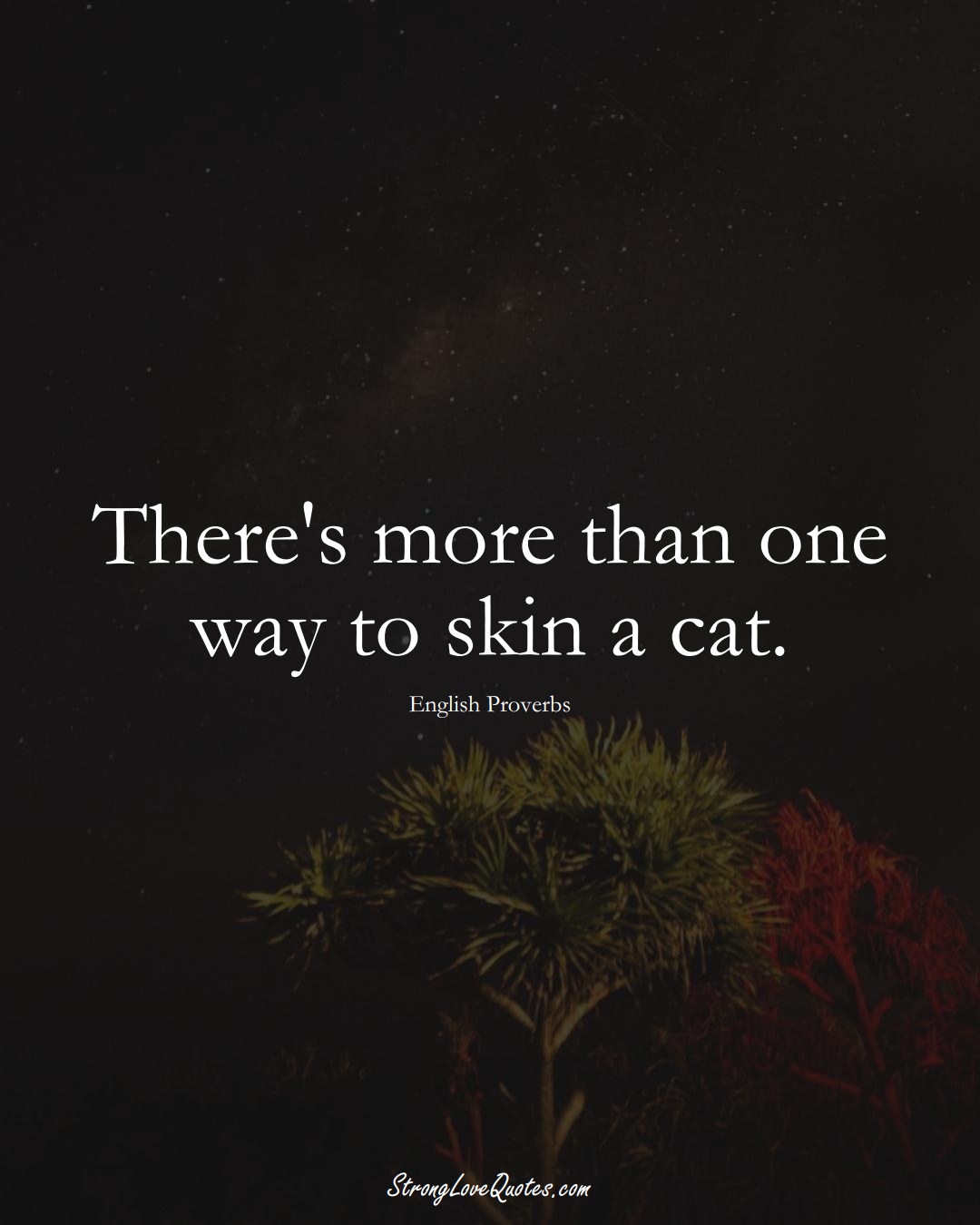 There's more than one way to skin a cat. (English Sayings);  #EuropeanSayings