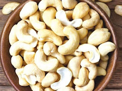 Khasiat Dan Manfaat Kacang Gajus