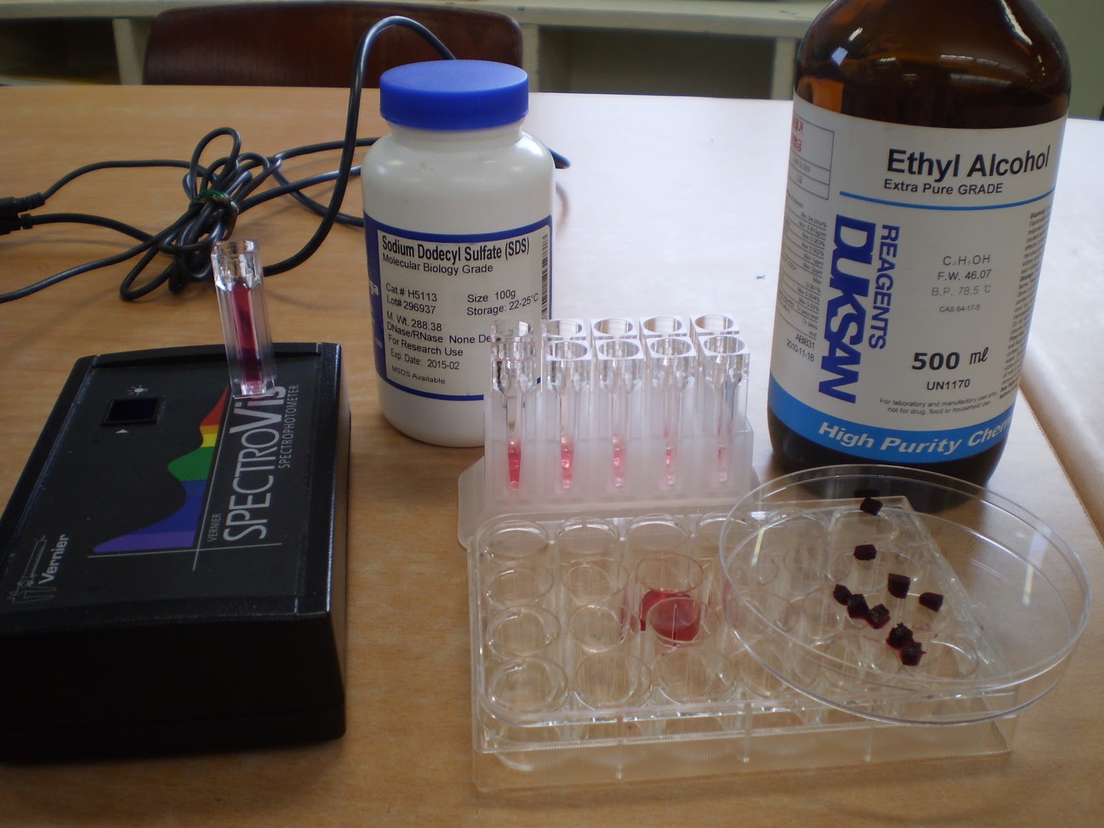 New IA Design IB Chemistry Biology IA