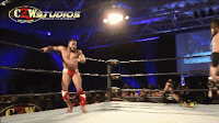 Handspring%2BCutter%2B1.gif