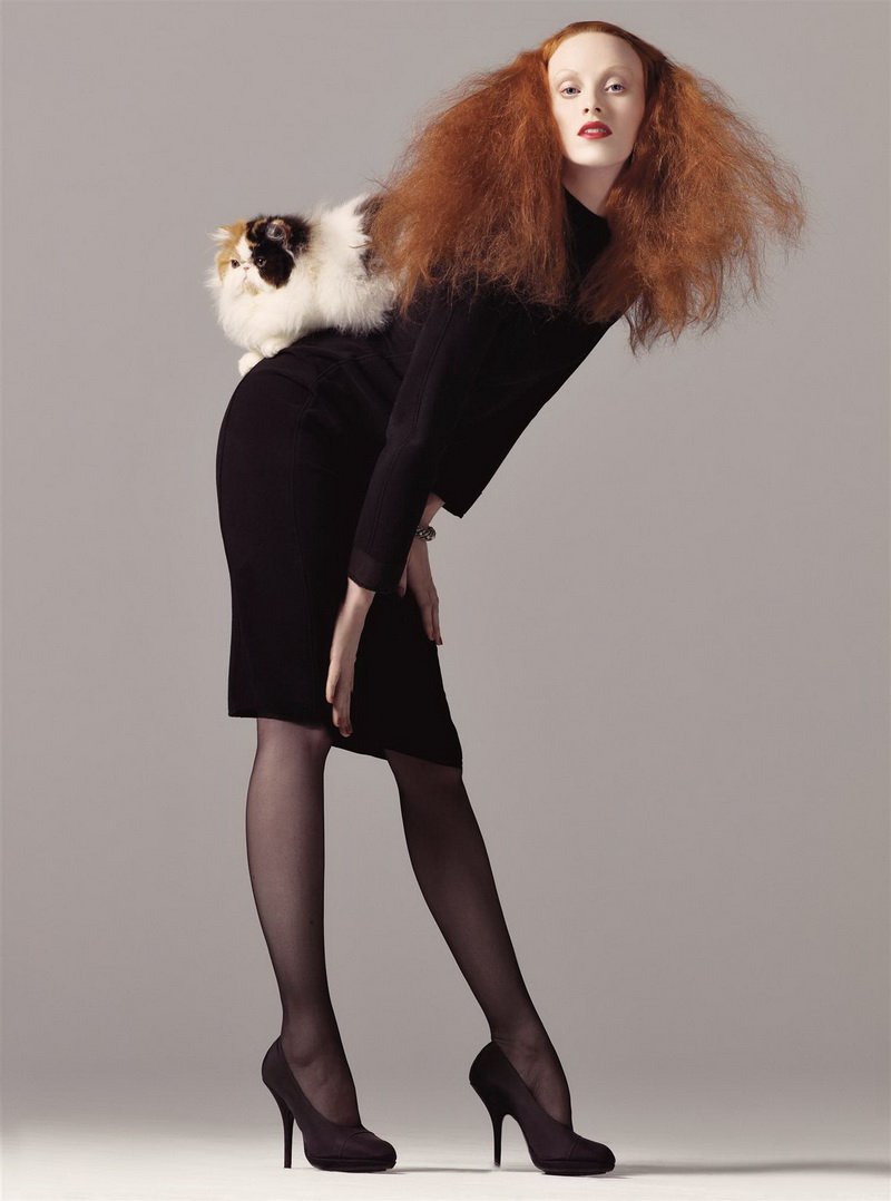 loveisspeed.......: Cats in fashion...........