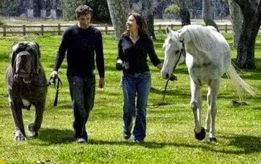 Wajib Simak Ini Lho Hoax Paling Menggelikan Aneka Cara Praktis