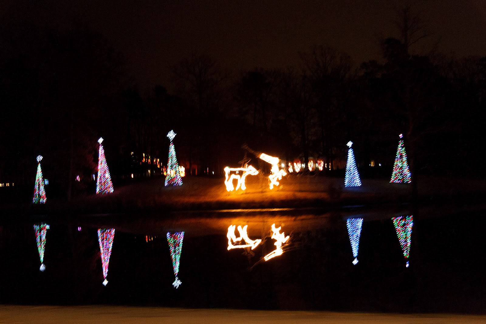 Kamie Roopie: Christmas Lights at Newport News Park