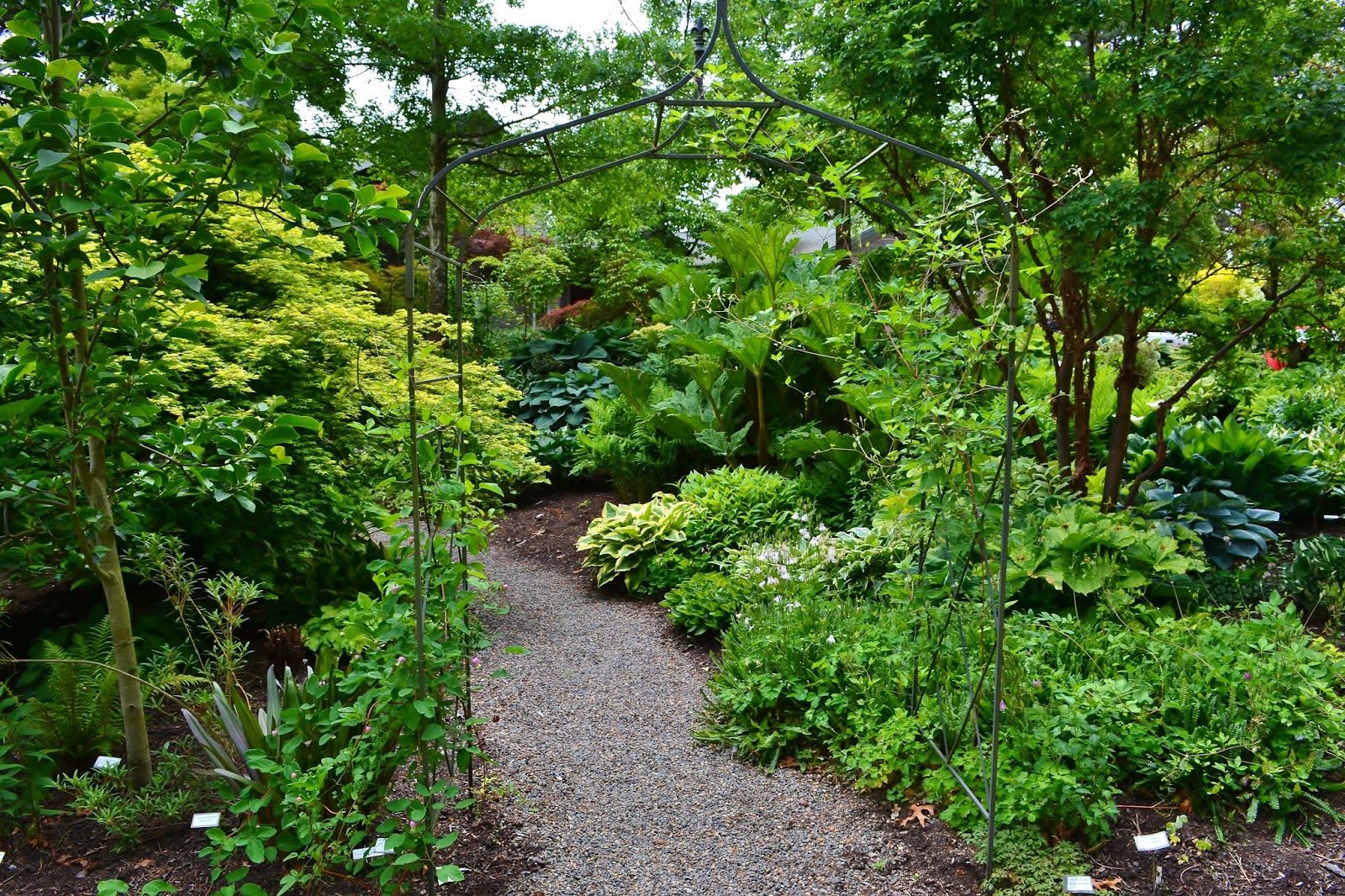 Linda Letters Sebright Gardens