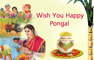 happy pongal greetings