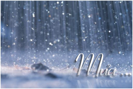 hinh-anh-dep-ve-mua-buon-co-don-ha-noi-sai-gon-lang-man%2B%25281%2529.png