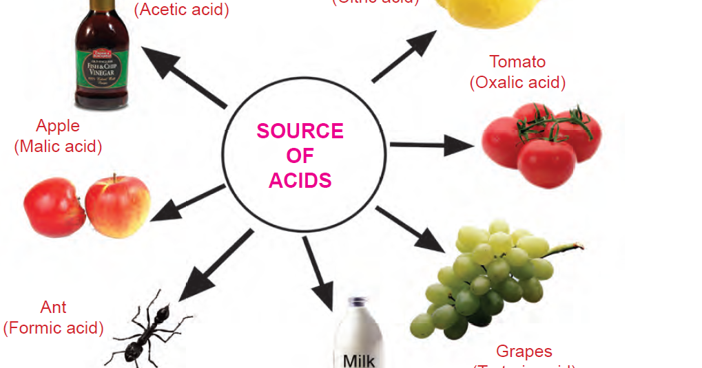 ACIDS USED IN OUR DAILY LIFE