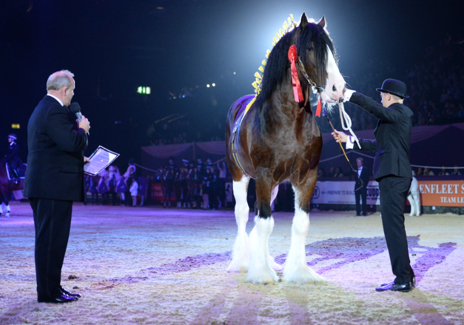 . Sad news about Metheringham Upton Hamlet Shire Horse of the Year Champion