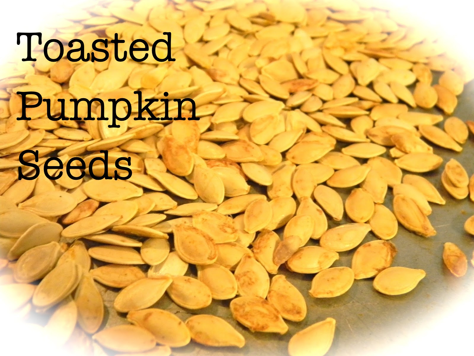 HomeCooked & Handmade Toasted Pumpkin Seeds