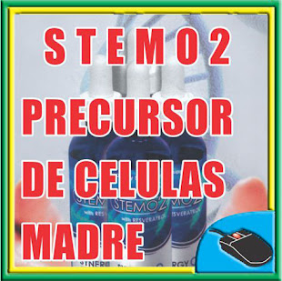 STEMO2 PRECURSOR DE CELULAS MADRE
