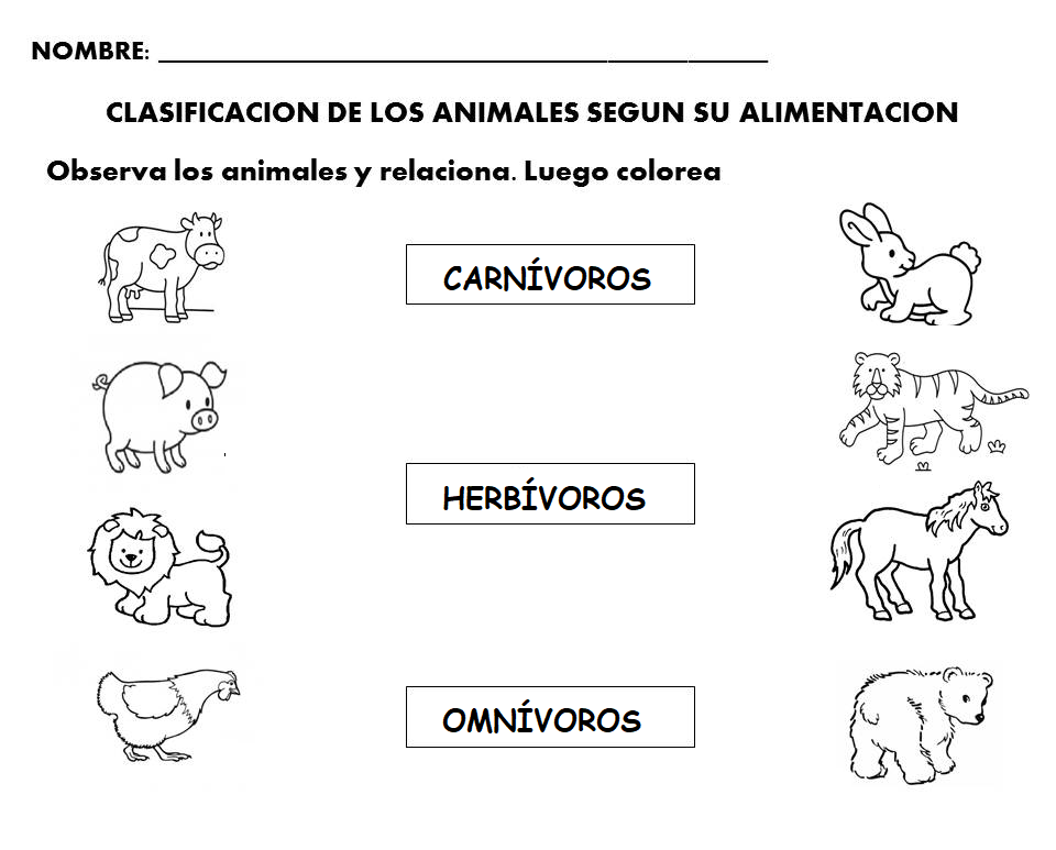 Atividades Sobre Animais Carnivoros Herbivoros E Onivoros Para 3o Ano ...