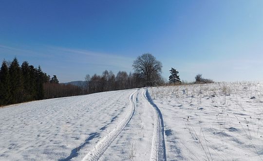 Droga na bezimienny wierzchołek w masywie Piątkowej. Droga na bezimienny wierzchołek w masywie Piątkowej.