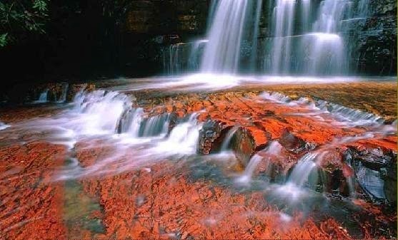 viaje-a-canaima-gran-sabana-galer-a-de-im-genes