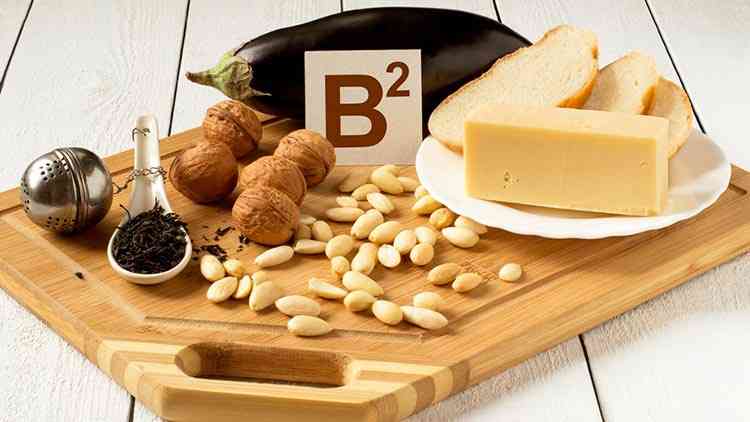 vitamina b2 para perros
