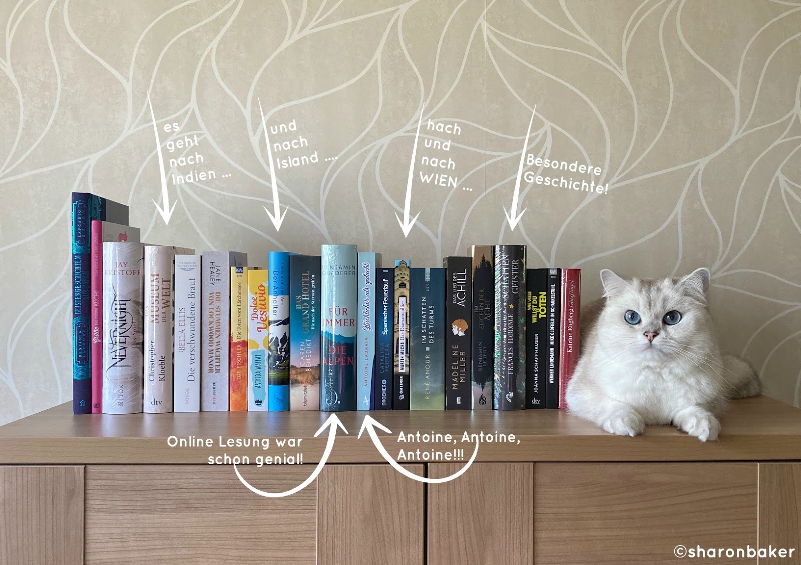 Moinmoin Sudtondern 11 2020