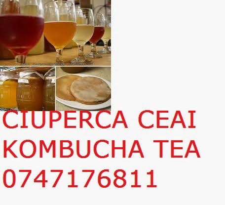 KOMBUCHA CIUPERCA CEAI KOMBUCHA TEA - 0765437394 - 0721339995 ROMANIA