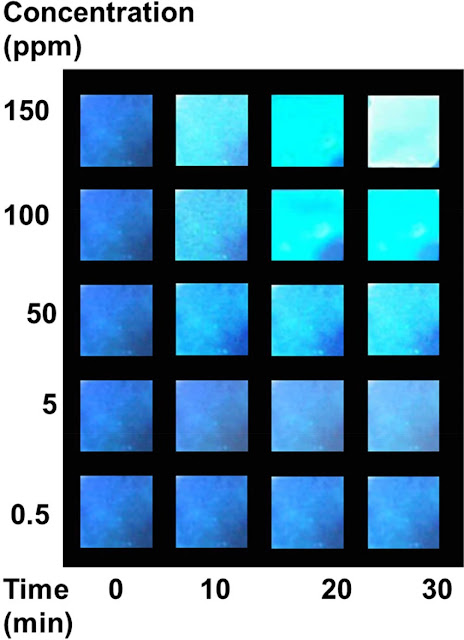 MakeTheBrainHappy: The Lewis Dot Structure for H2S