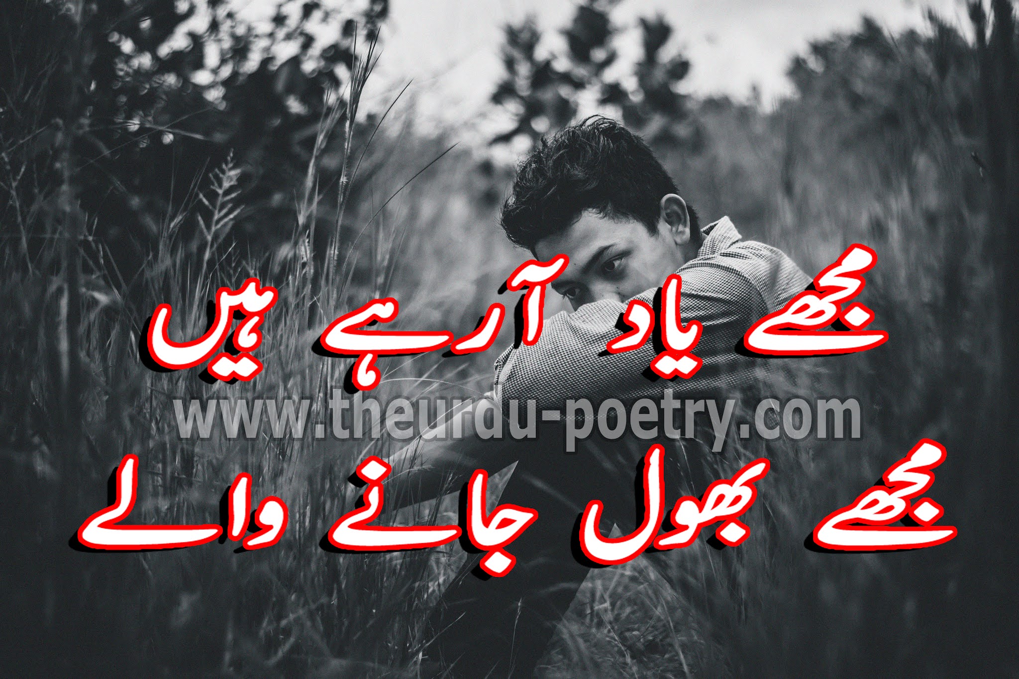 2 line shayari urdu 2 line shayari urdu