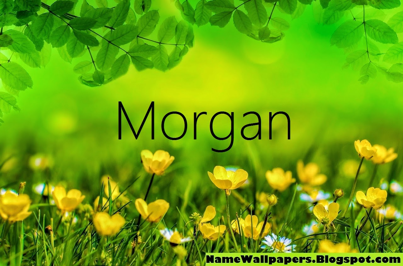 Morgan Name Wallpapers Morgan ~ Name Wallpaper Urdu Name Meaning Name