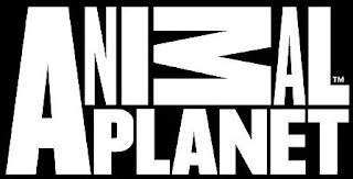 History of All Logos: All Animal Planet Logos