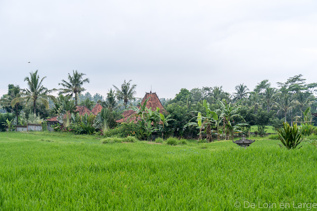 Campuhan - Ubud - Bali