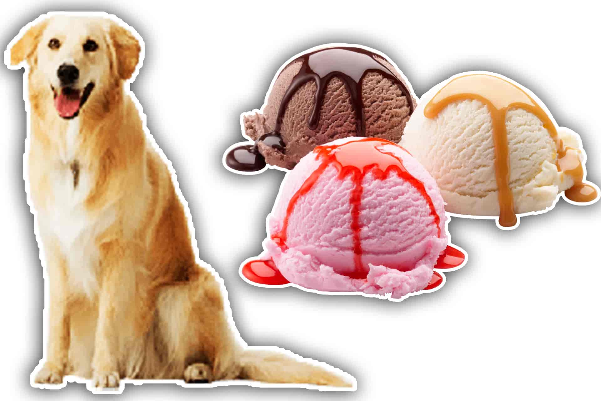 [2023] Can Dogs Eat Ice Cream | Is Ice Cream Good For Dogs