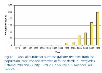 FAU Libraries @Jupiter Science Blog: Snake invaders