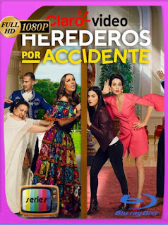 Herederos por accidente (2020) Temporada 1 HD [1080p] Latino [GoogleDrive] SXGO