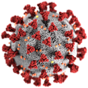 فيروس كورونا المستجد_(COVID_19)  