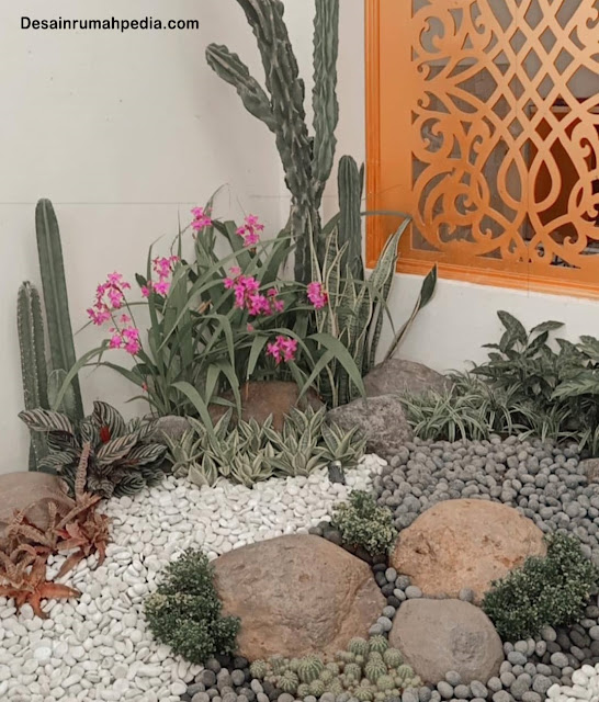 Inspirasi Taman Rumah Minimalis Dengan Kaktus yang Cantik