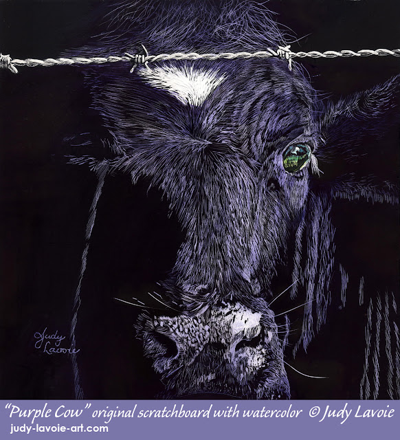 "Purple Cow" an original scratchboard by Judy Lavoie