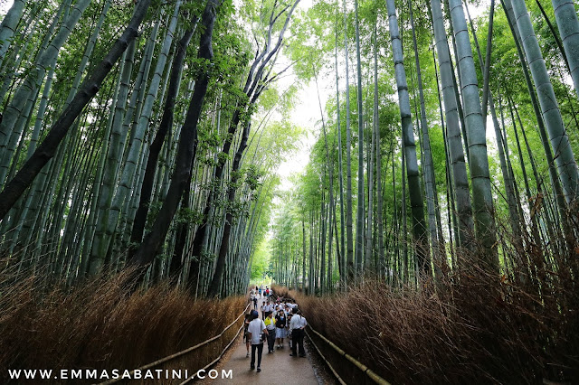 Wisata Kansai Jepang 5 Hari