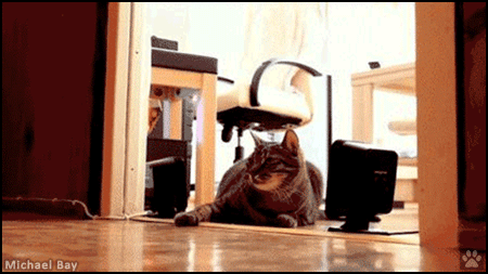 Art cat GIF • Cat punching RC helicopter: huge explosion and new sunglasses. DEAL WITH IT. Art cat GIF • Cat punching RC helicopter: huge explosion and new sunglasses. DEAL WITH IT.